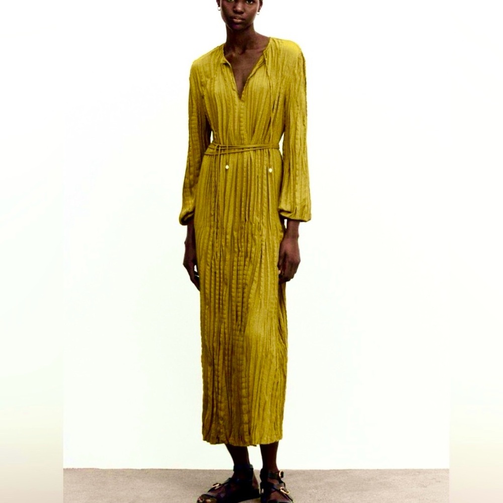 New Massimo Dutti Pleated Maxi Dress Green